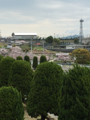 b0365216_08113691.jpg