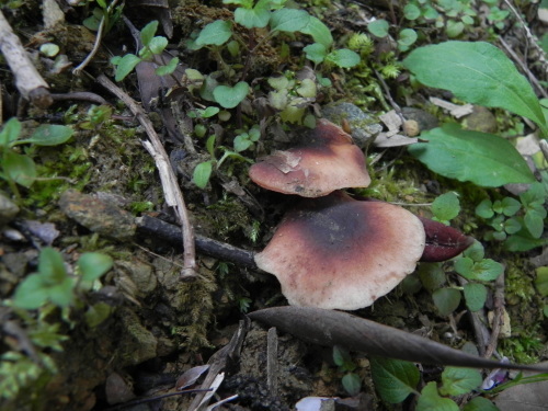 e0352220_21180720.jpg