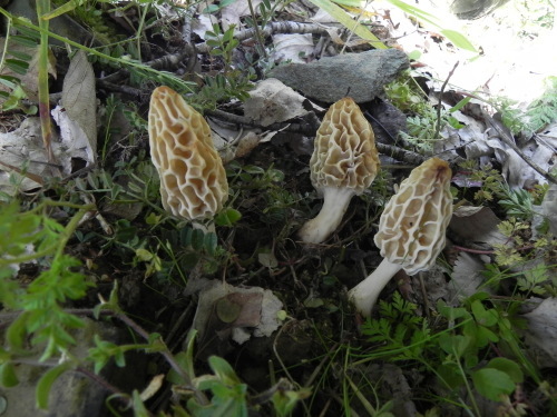e0352220_21214932.jpg