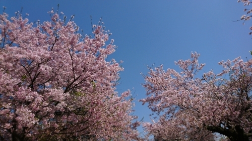 f0339422_09105083.jpg