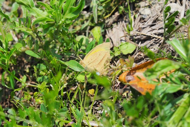 c0369423_20401583.jpg