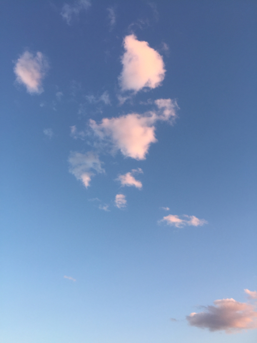 b0135325_12474673.jpg
