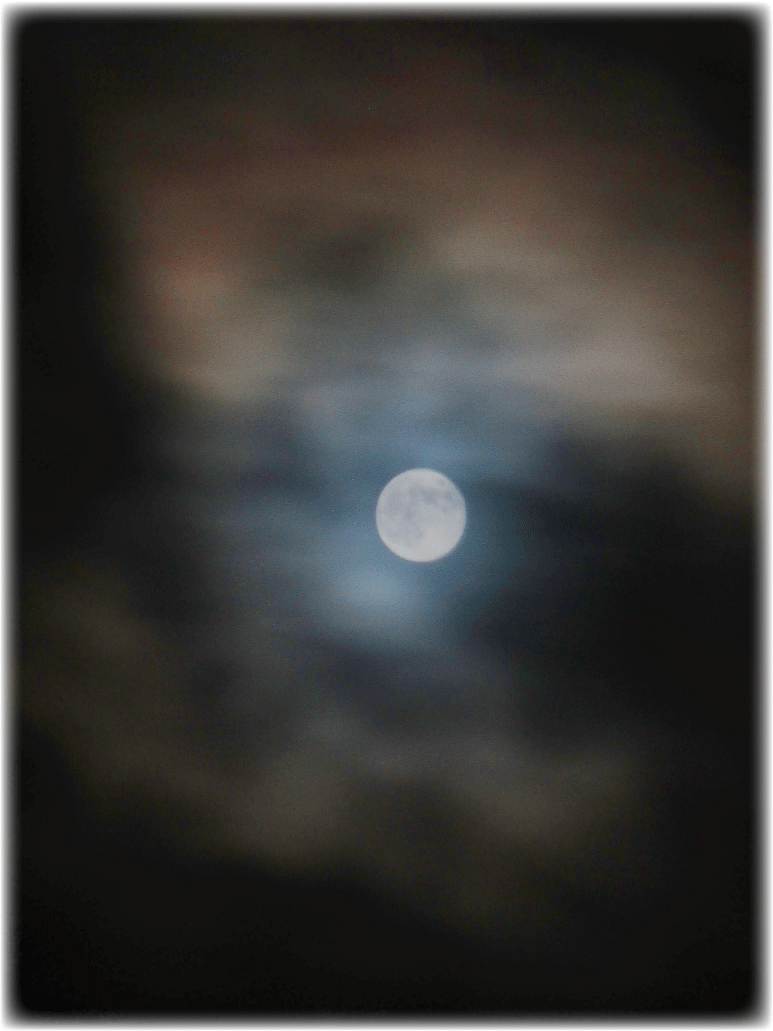 c0107829_01025551.gif