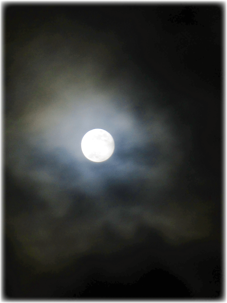 c0107829_01030763.gif