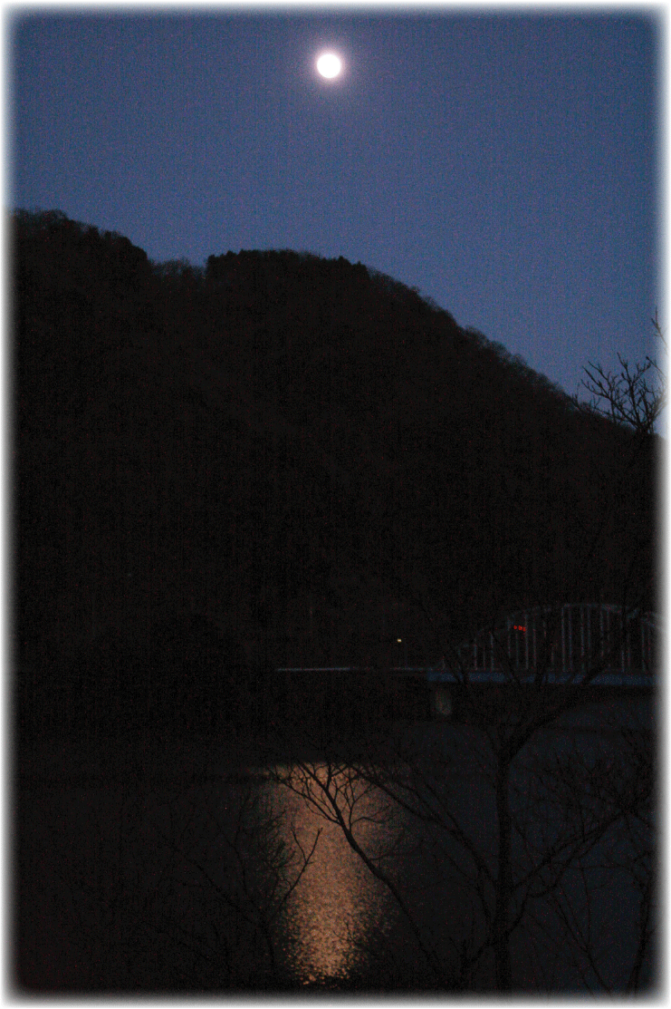 c0107829_01032172.gif