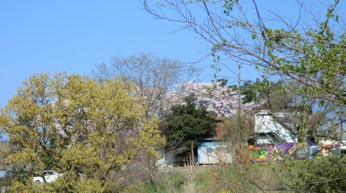 b0137932_16315722.jpg