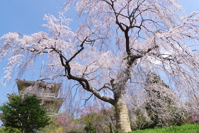 c0281841_12360940.jpg