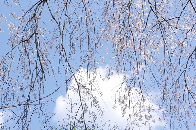 c0281841_12363043.jpg