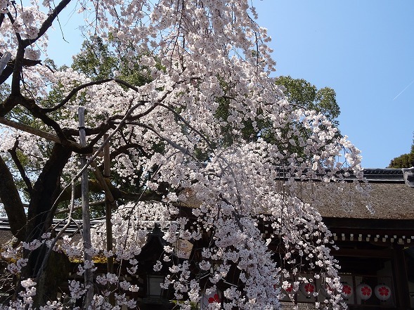 b0299042_10292973.jpg