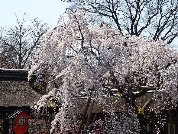 b0299042_10293670.jpg