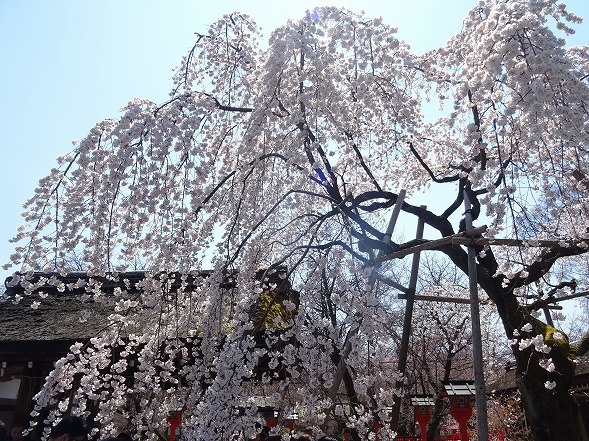 b0299042_10294221.jpg