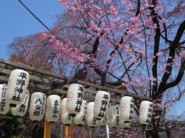 b0299042_10301893.jpg