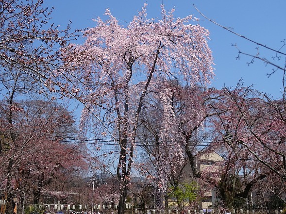 b0299042_10302455.jpg
