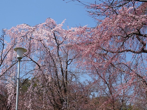b0299042_10303715.jpg