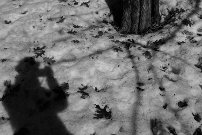 c0162846_7383463.gif