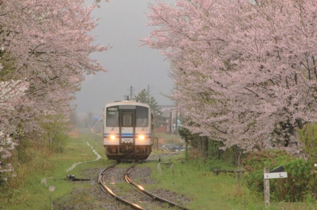 雨にも負けず、風にも負けず_f0371447_00203405.jpg