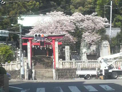 a0313160_23959.jpg