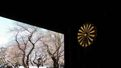 靖国神社のサクラと二松学舎大学のランチ_f0129761_13394630.jpg