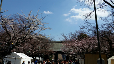 靖国神社のサクラと二松学舎大学のランチ_f0129761_13415012.jpg