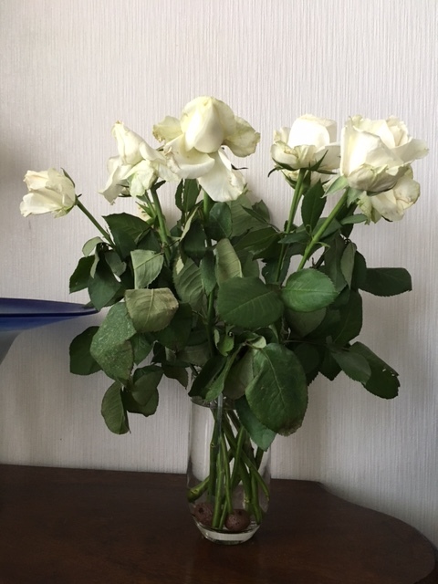 f0256164_14201419.jpg