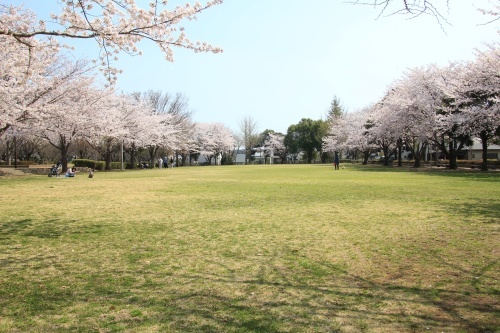 中根モデルハウス始動!_a0342765_12282719.jpg