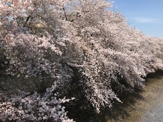 まわりからのメッセージを感じるこの頃_b0034072_19003787.jpg