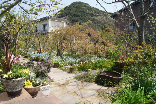 e0181373_20520159.jpg