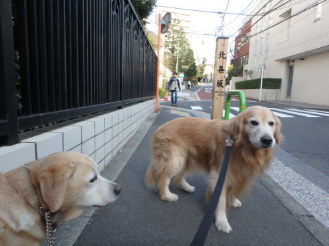 f0052277_01353930.jpg