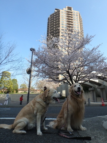 f0052277_01410062.jpg