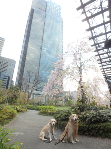 f0052277_01532909.jpg