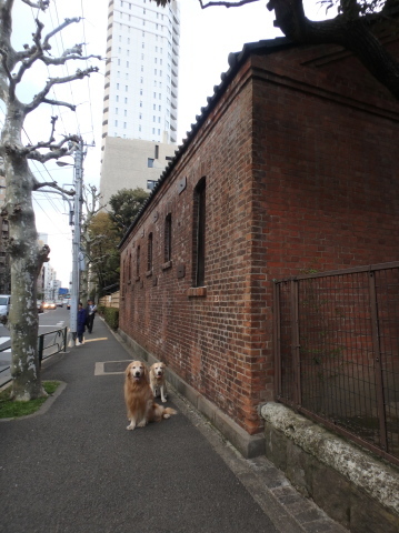 f0052277_01580171.jpg