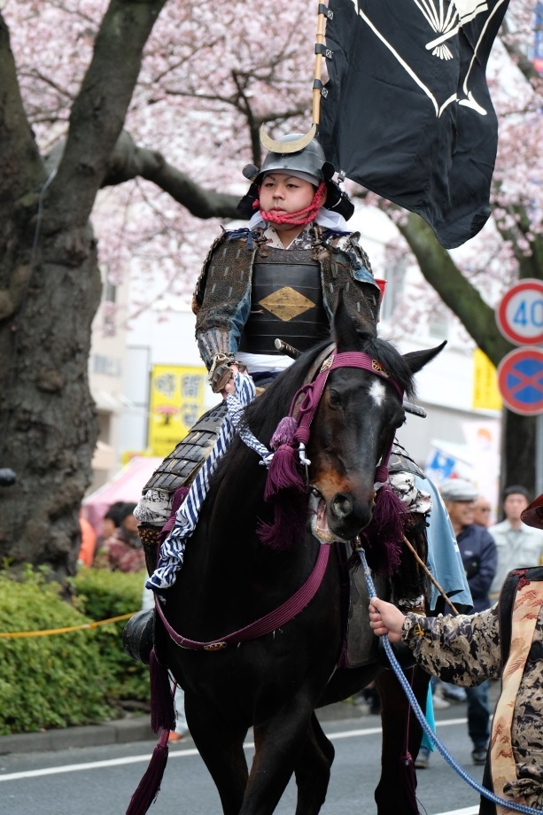 ２０１７年　日立さくらまつり　＜４＞ 相馬野馬追武者行列　０４・０８_e0143883_20125162.jpg