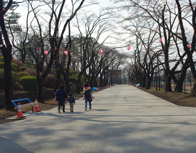 b0123486_09593453.jpg