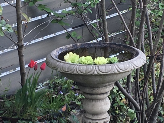 b0336787_22270141.jpeg