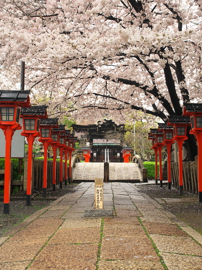 桜めぐり2017～六孫王神社～(4/8)_d0026589_19325821.jpg