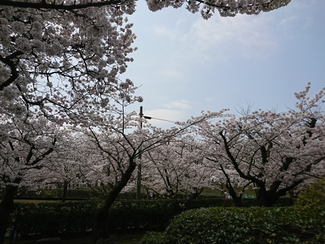 この週末は。4月15日&16日。_e0046190_18412672.jpg