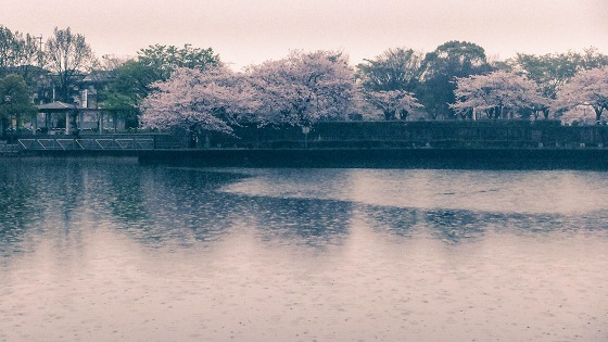 水辺公園_e0176993_04131966.jpg