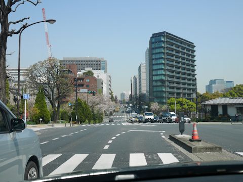 ブランディの肝臓ガン、治ったかもしれない!!!_c0090198_16443730.jpg