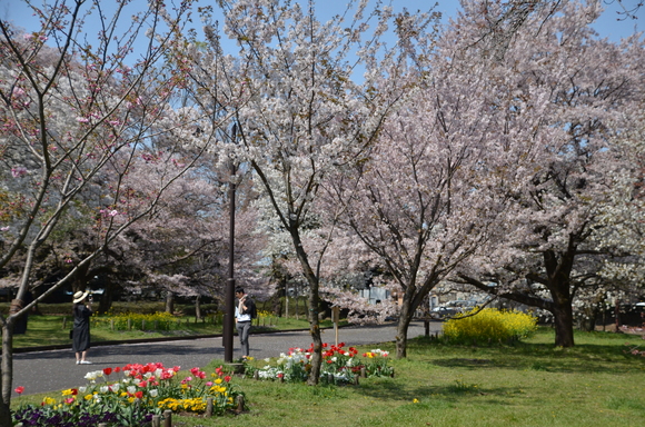 a0288500_12154443.jpg