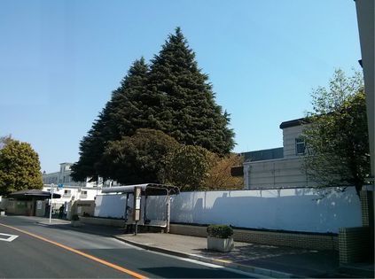 d0051601_22023404.jpg