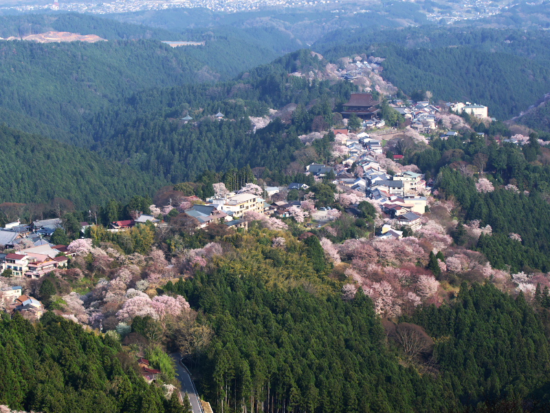 吉野山 花矢倉展望台 散水館 吉野山 花矢倉展望台 散水館