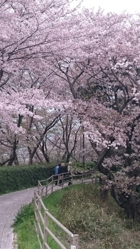 e0351303_23071109.jpg