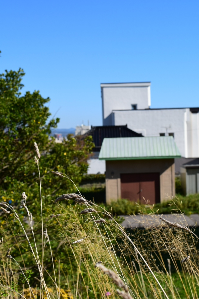函館市公民館(函館の建築再訪)_f0142606_09113625.jpg