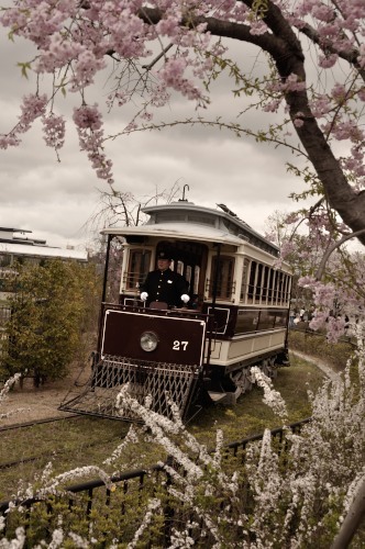 梅小路公園にて桜鉄　_d0098810_21562880.jpg