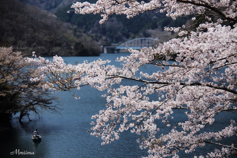 釣り人のいる風景_f0131611_21204452.jpg