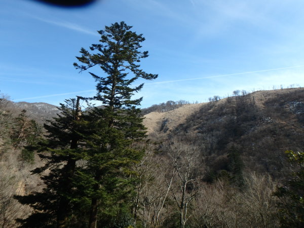d0198313_10372970.jpg