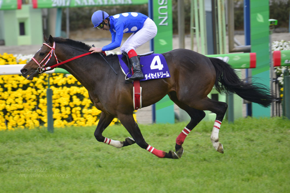 2017.4.15 中山競馬場☆中山GJ☆タイセイドリーム【Thoroughbred】_f0250322_21401785.jpg