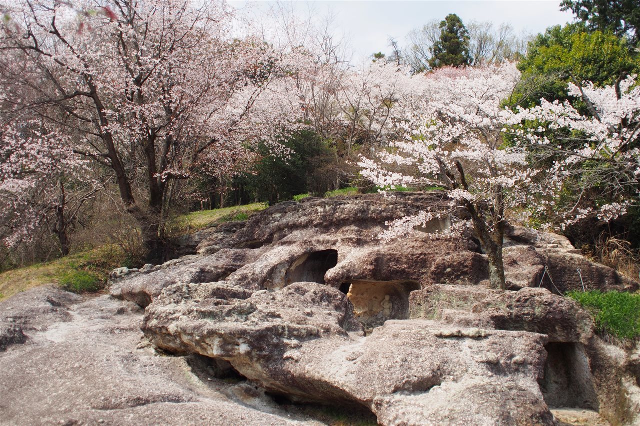 古墳と桜_b0352223_13594159.jpg