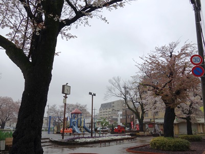 c0204725_2351475.jpg