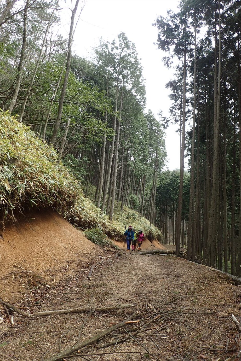 △　信楽の最高峰　笹ヶ岳　△_f0348933_19535714.jpg